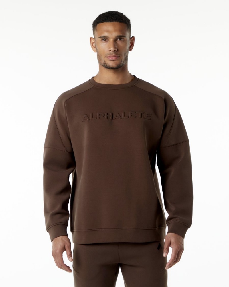 Vestes Alphalete ELMTS Crewneck Pull Marron Homme | GMS-76966606