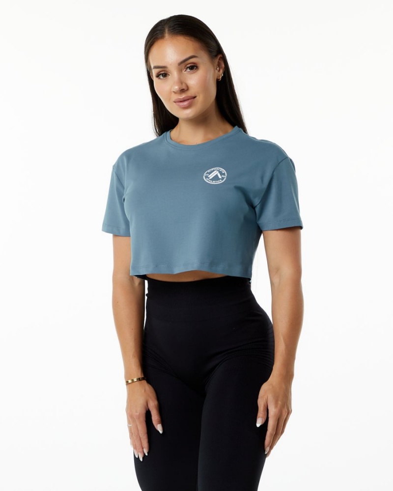 Chemises Alphalete Dynasty Crop Bleu Femme | VQN-75094212