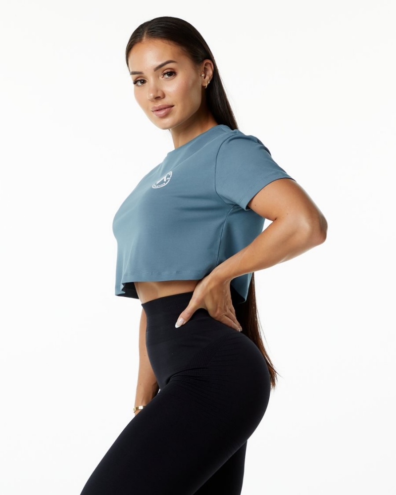 Chemises Alphalete Dynasty Crop Bleu Femme | VQN-75094212