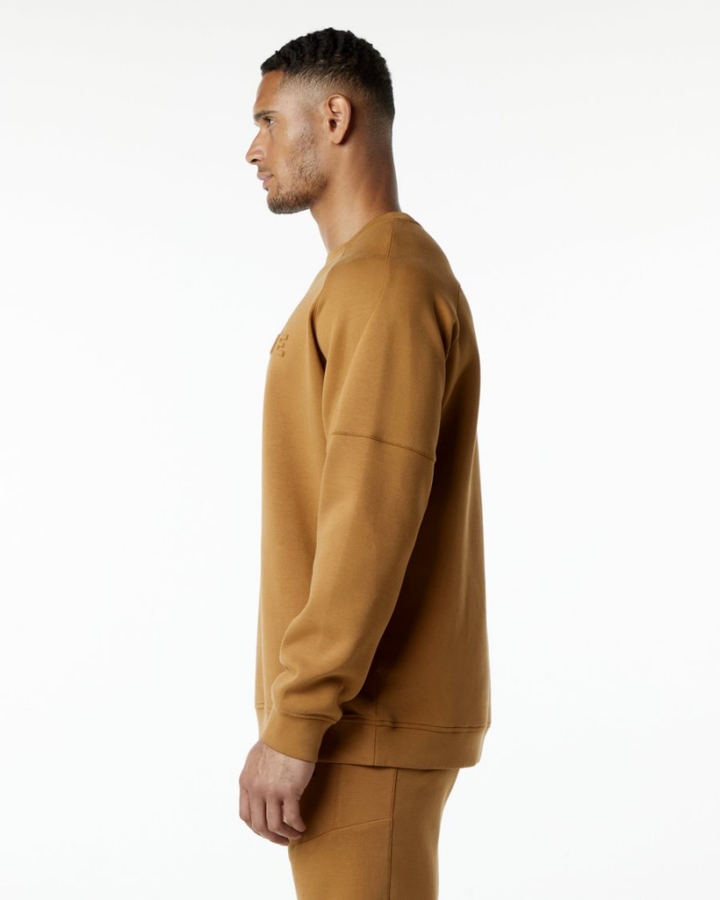 Vestes Alphalete ELMTS Crewneck Pull Almond Homme | TAX-32671568