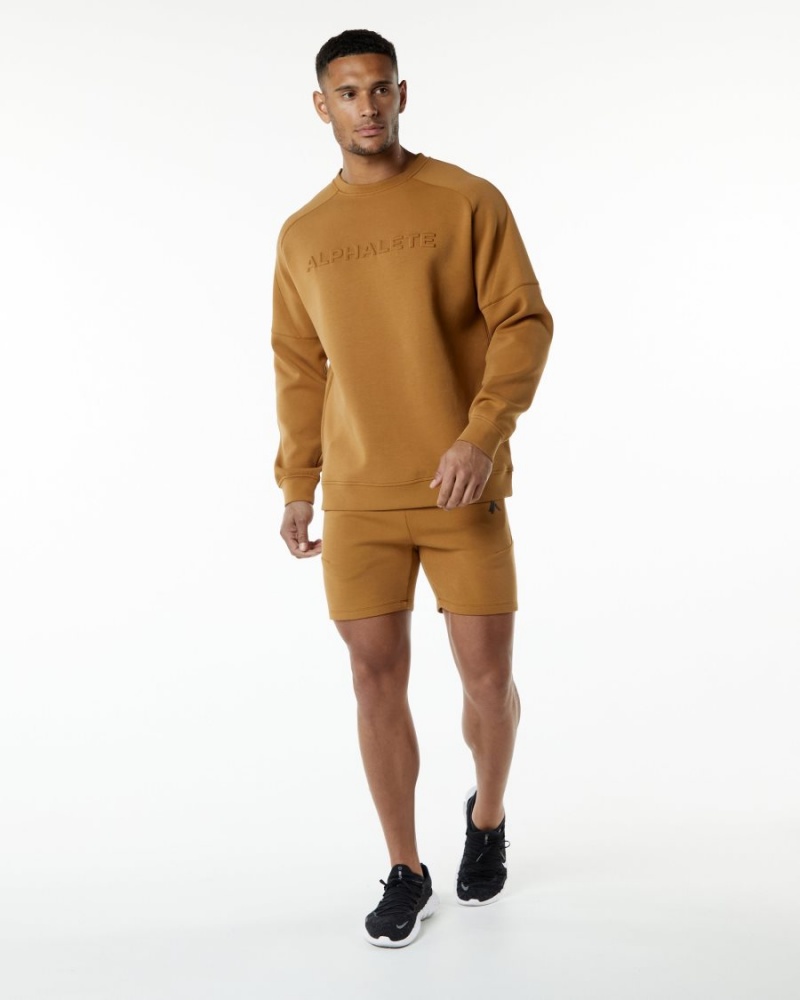 Vestes Alphalete ELMTS Crewneck Pull Almond Homme | TAX-32671568