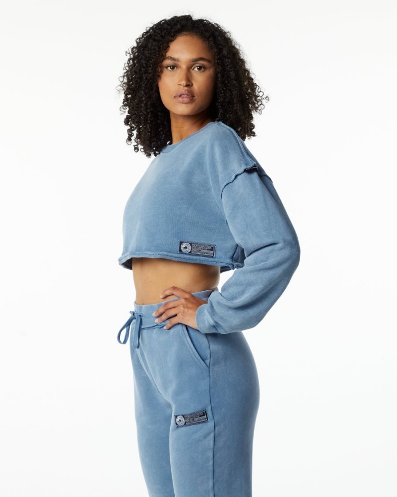 Vestes Alphalete Very Terry Crop Pullover Bleu Femme | AQC-43923530