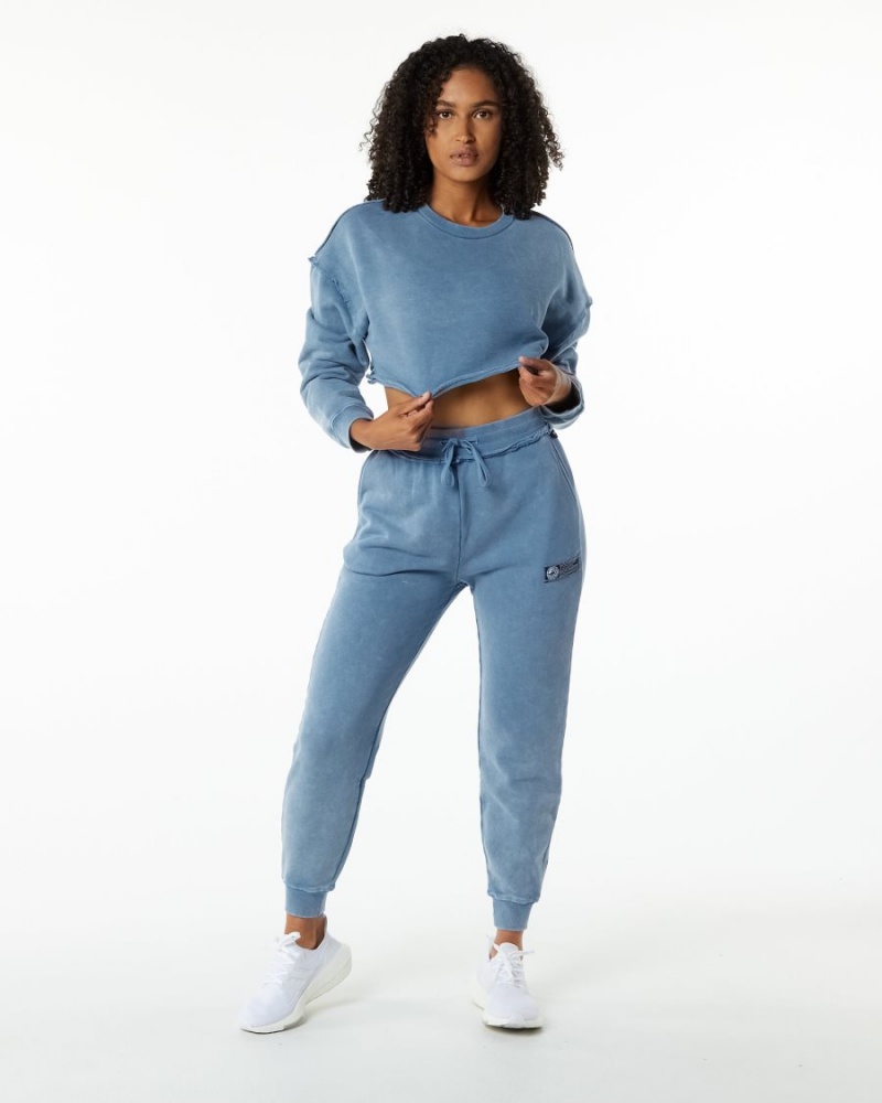 Vestes Alphalete Very Terry Crop Pullover Bleu Femme | AQC-43923530