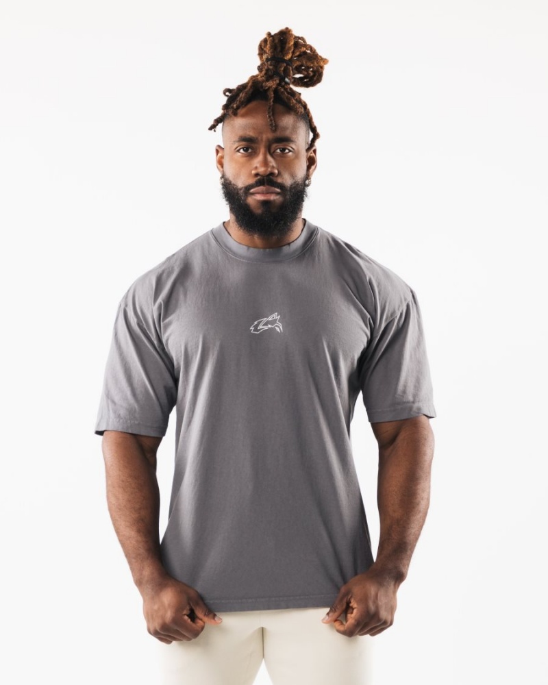 Chemises Alphalete LDB Outline Tee Charcoal Homme | WXF-27836825