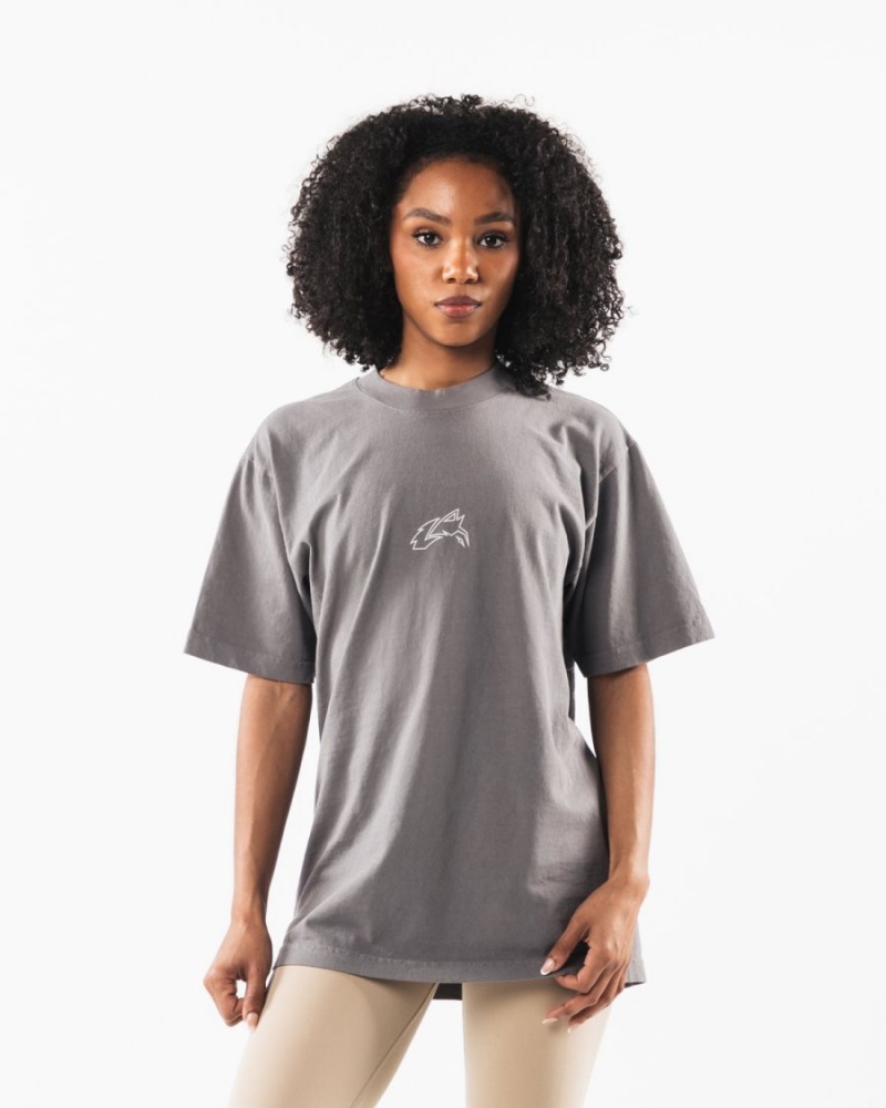 Chemises Alphalete LDB Outline Tee Charcoal Homme | WXF-27836825