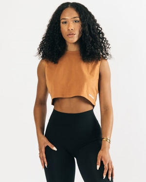 Debardeur Alphalete Heavy Coton Cropped Cutoff Clay Femme | GHX-21089307