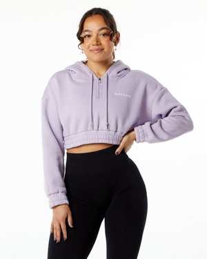 Sweat a Capuche Alphalete Classiche Capital Crop Hoodie Misty Lilac Femme | BRJ-02490151