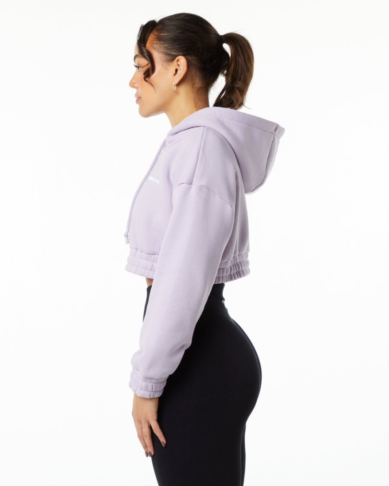 Sweat a Capuche Alphalete Classiche Capital Crop Hoodie Misty Lilac Femme | BRJ-02490151