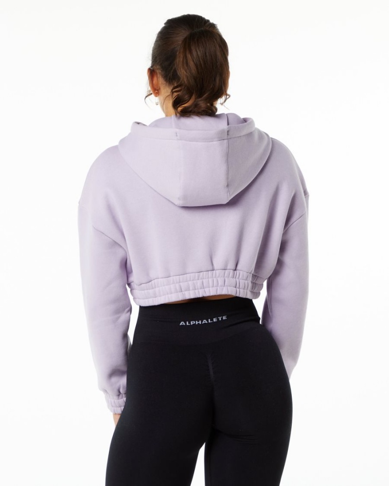 Sweat a Capuche Alphalete Classiche Capital Crop Hoodie Misty Lilac Femme | BRJ-02490151