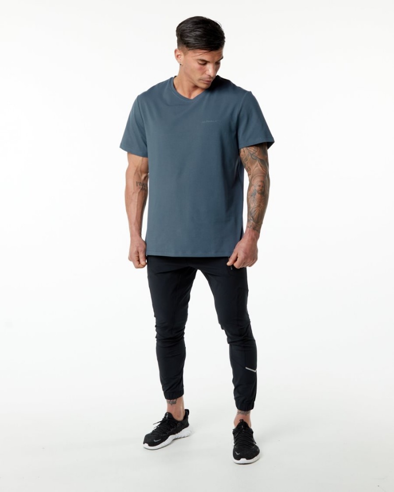 Chemises Alphalete Classiche Tee Bleu Homme | TIC-72358080