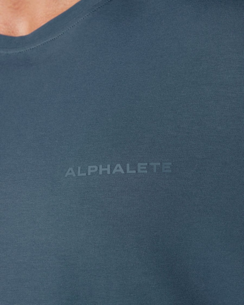 Chemises Alphalete Classiche Tee Bleu Homme | TIC-72358080