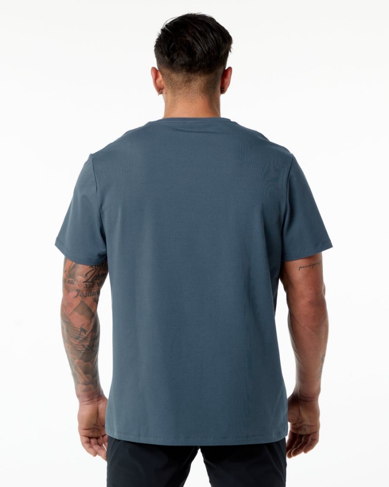 Chemises Alphalete Classiche Tee Bleu Homme | TIC-72358080