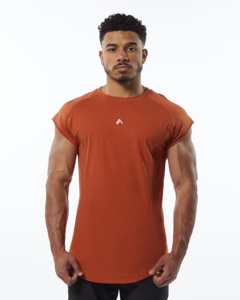 Stringers Alphalete Velocity Sans Manches Tee Sour Tangerine Homme | SBV-28649451