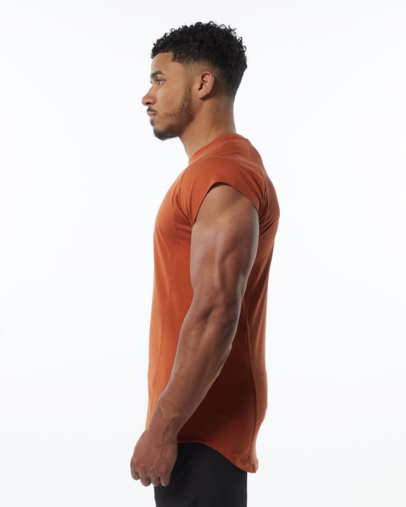 Stringers Alphalete Velocity Sans Manches Tee Sour Tangerine Homme | SBV-28649451