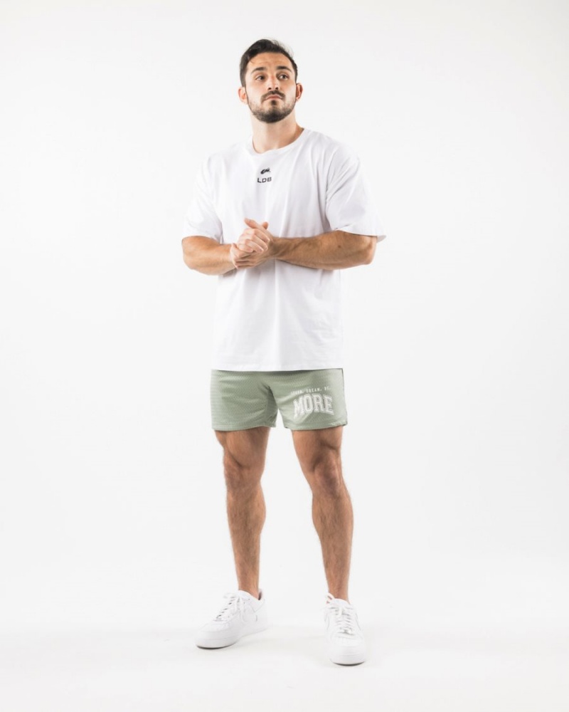 Short Alphalete LDB More Mesh Corta 6" Sage Homme | KNP-50754040