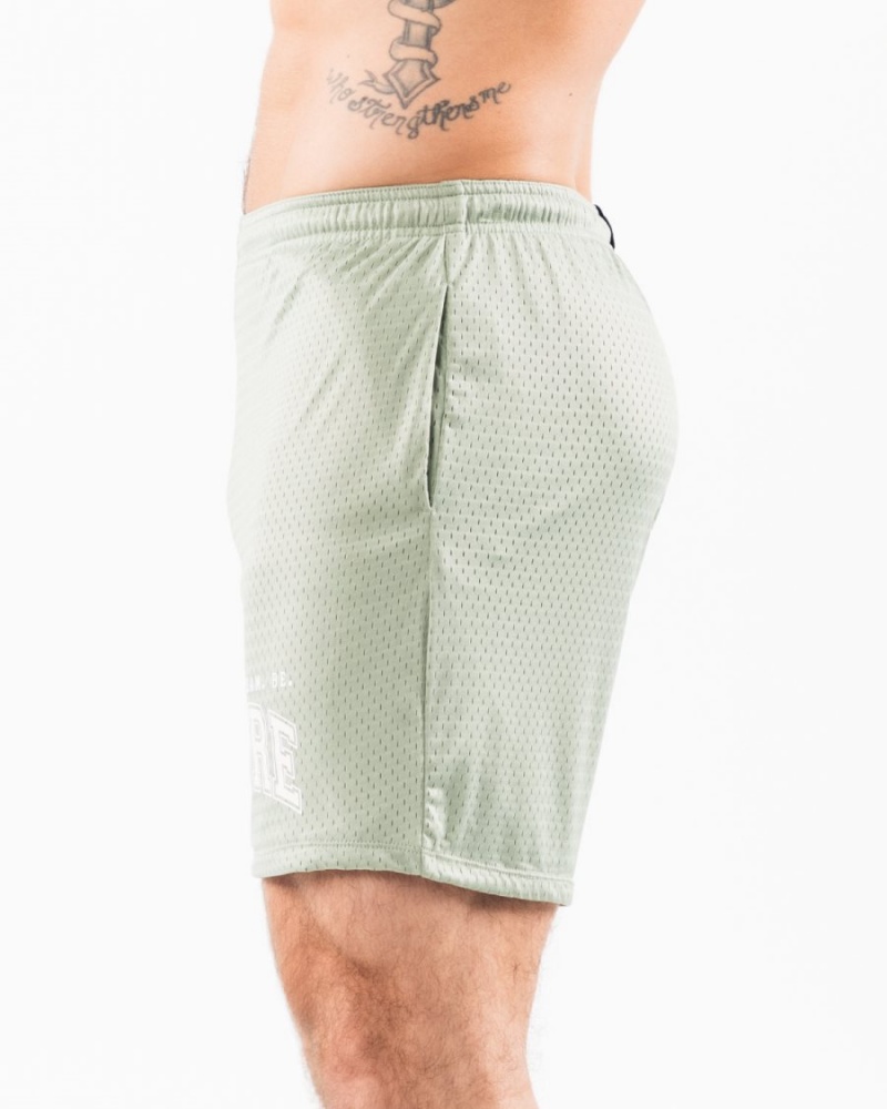 Short Alphalete LDB More Mesh Corta 6" Sage Homme | KNP-50754040