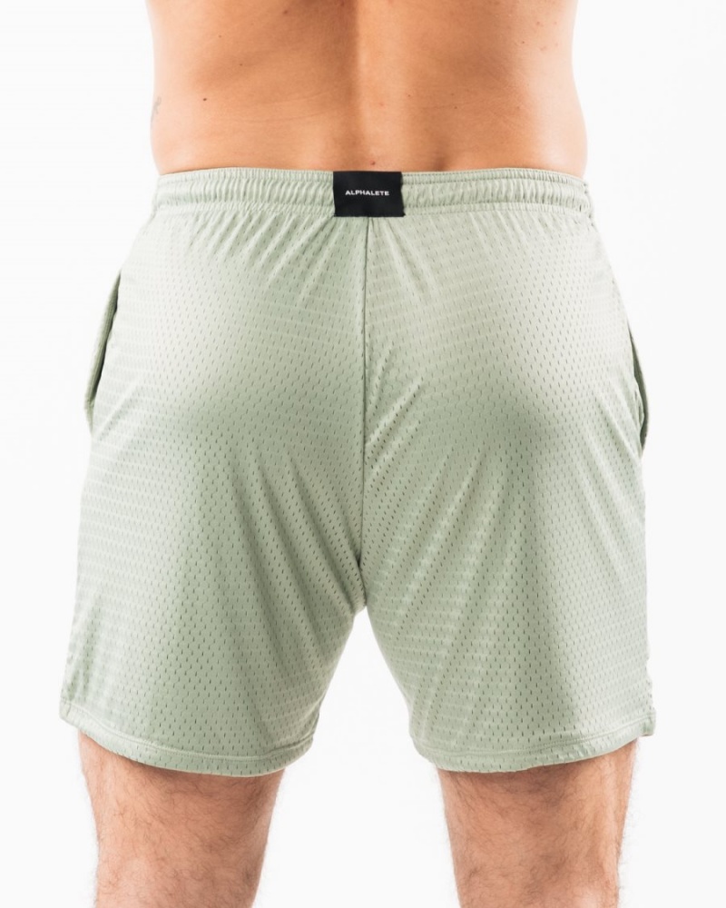 Short Alphalete LDB More Mesh Corta 6" Sage Homme | KNP-50754040