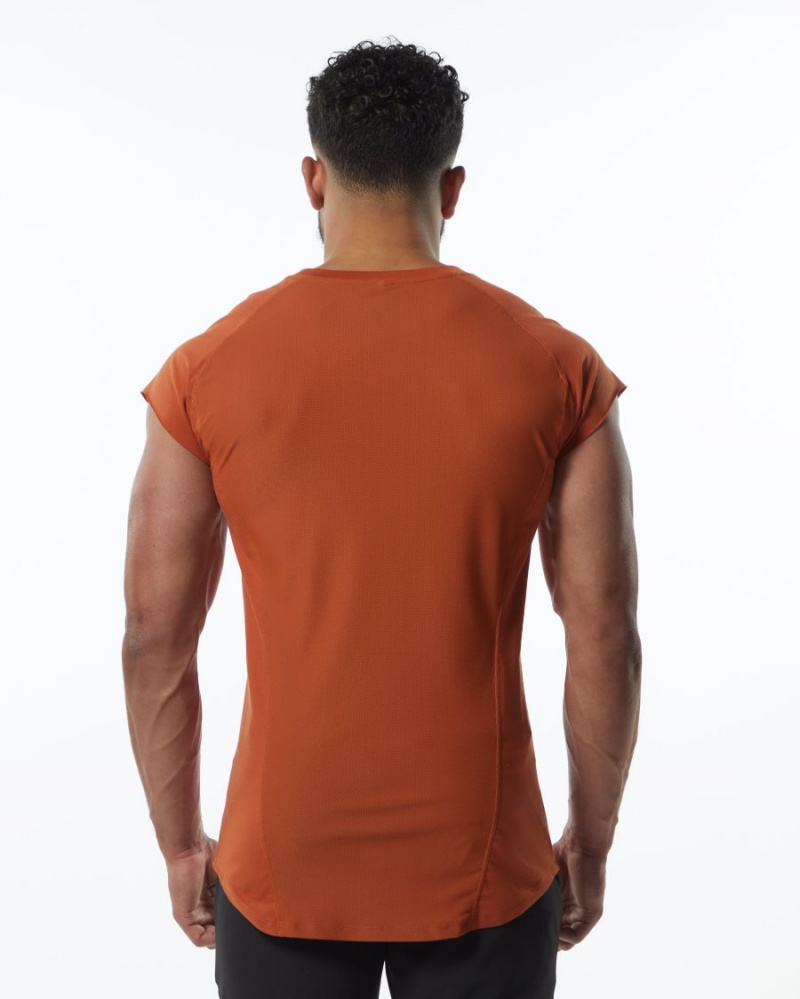 Stringers Alphalete Velocity Sans Manches Tee Sour Tangerine Homme | SBV-28649451