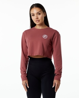 Manches Longues Alphalete Dynasty LS Crop Gingerbread Femme | DUM-97207317