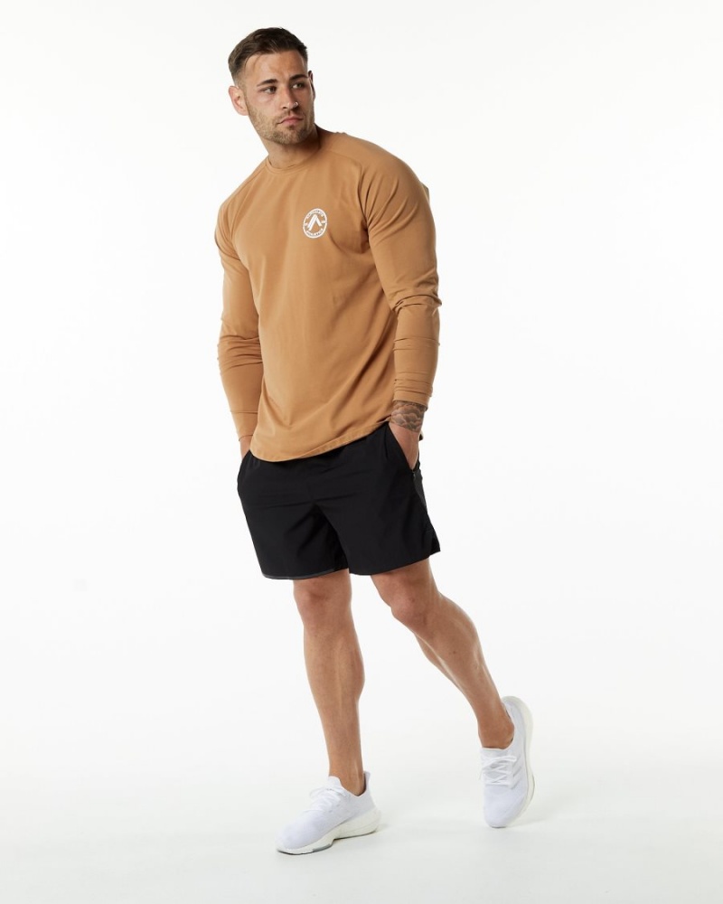 Chemises Alphalete Dynasty LS Tee Rust Homme | SOY-19282964