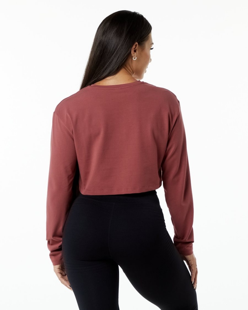 Manches Longues Alphalete Dynasty LS Crop Gingerbread Femme | DUM-97207317