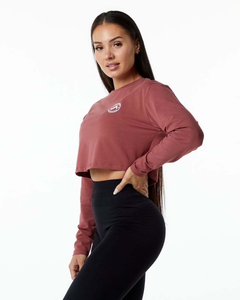 Manches Longues Alphalete Dynasty LS Crop Gingerbread Femme | DUM-97207317