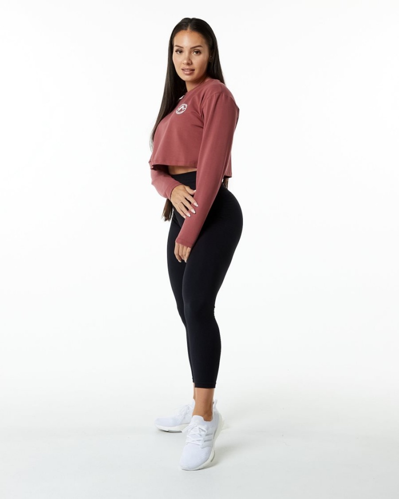 Manches Longues Alphalete Dynasty LS Crop Gingerbread Femme | DUM-97207317