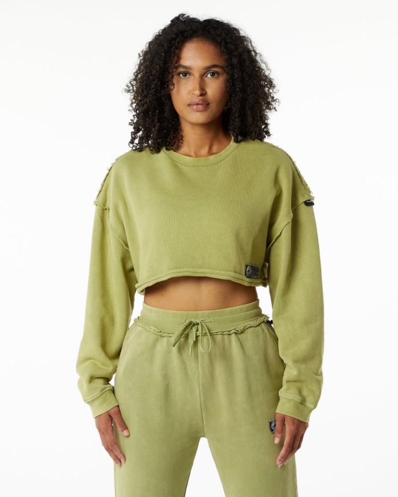 Vestes Alphalete Very Terry Crop Pullover Vert Femme | ZTN-45346246