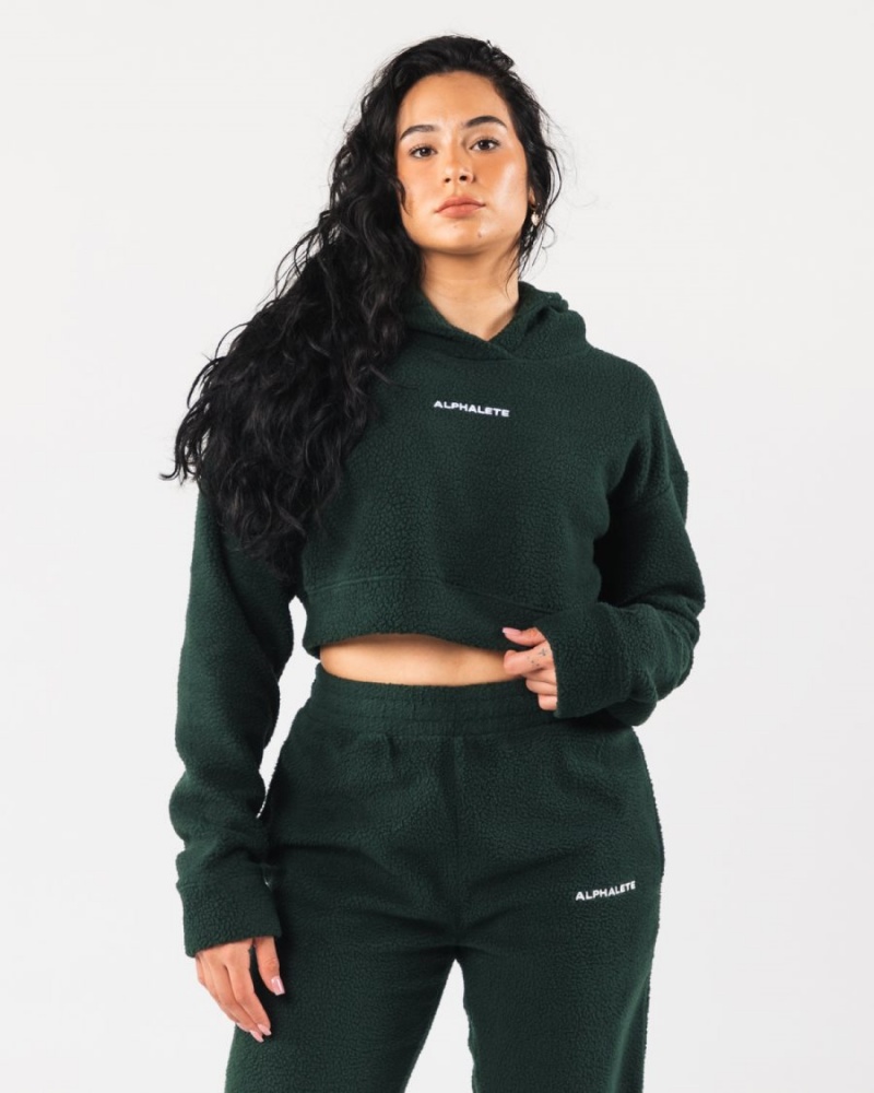 Sweat a Capuche Alphalete King Crop Hoodie Evergreen Femme | RWP-58095841