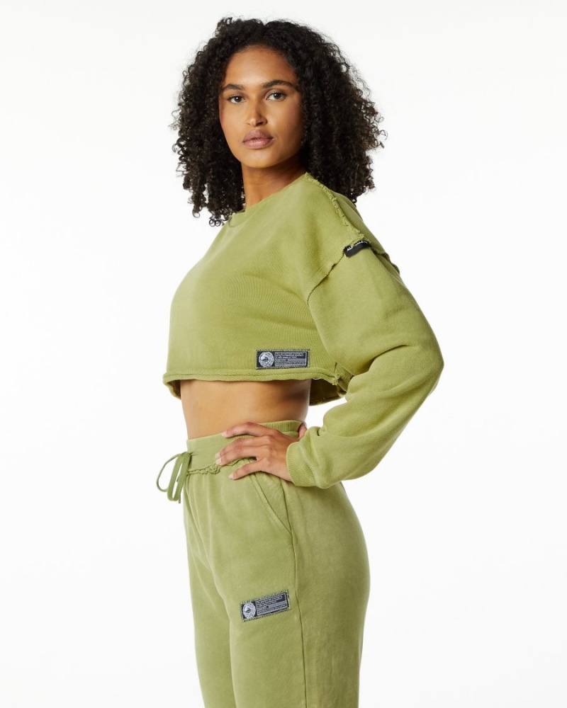 Vestes Alphalete Very Terry Crop Pullover Vert Femme | ZTN-45346246