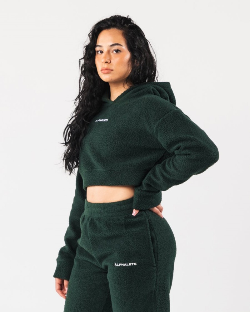 Sweat a Capuche Alphalete King Crop Hoodie Evergreen Femme | RWP-58095841