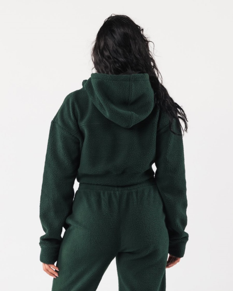 Sweat a Capuche Alphalete King Crop Hoodie Evergreen Femme | RWP-58095841