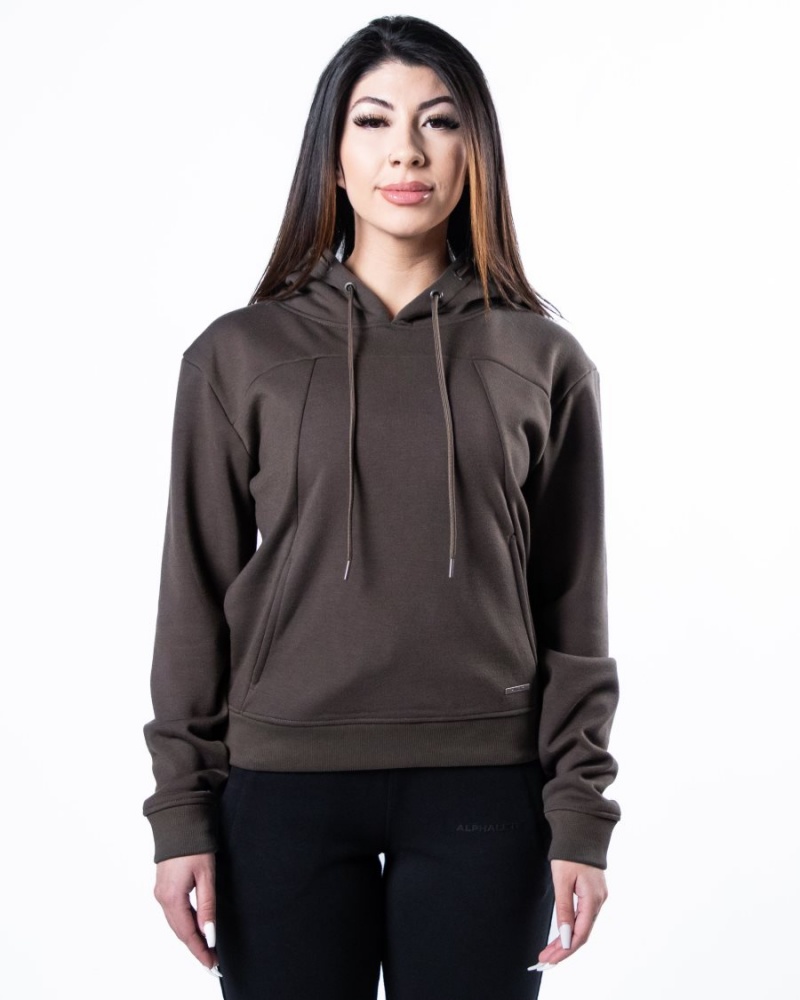 Sweat a Capuche Alphalete Monarch Hoodie Marron Foncé Femme | OHA-49482769