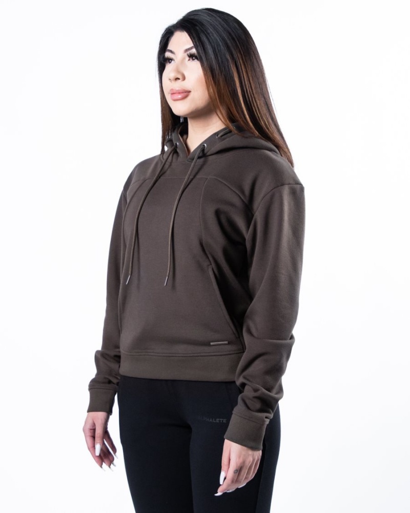 Sweat a Capuche Alphalete Monarch Hoodie Marron Foncé Femme | OHA-49482769