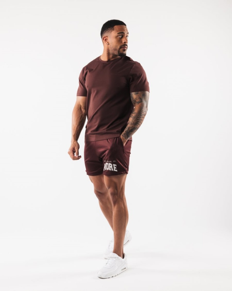 Short Alphalete LDB More Mesh Corta 6” Bordeaux Homme | YMG-16842867