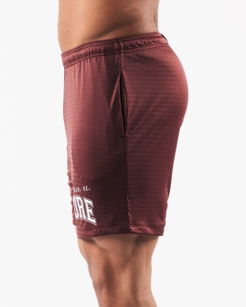 Short Alphalete LDB More Mesh Corta 6” Bordeaux Homme | YMG-16842867