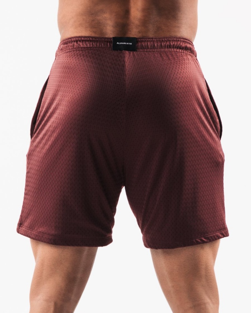 Short Alphalete LDB More Mesh Corta 6” Bordeaux Homme | YMG-16842867