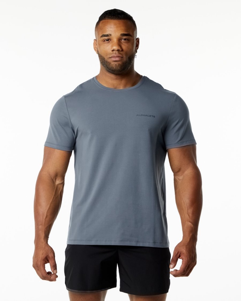 Chemises Alphalete Classiche Tee Carbon Homme | LHL-29344117