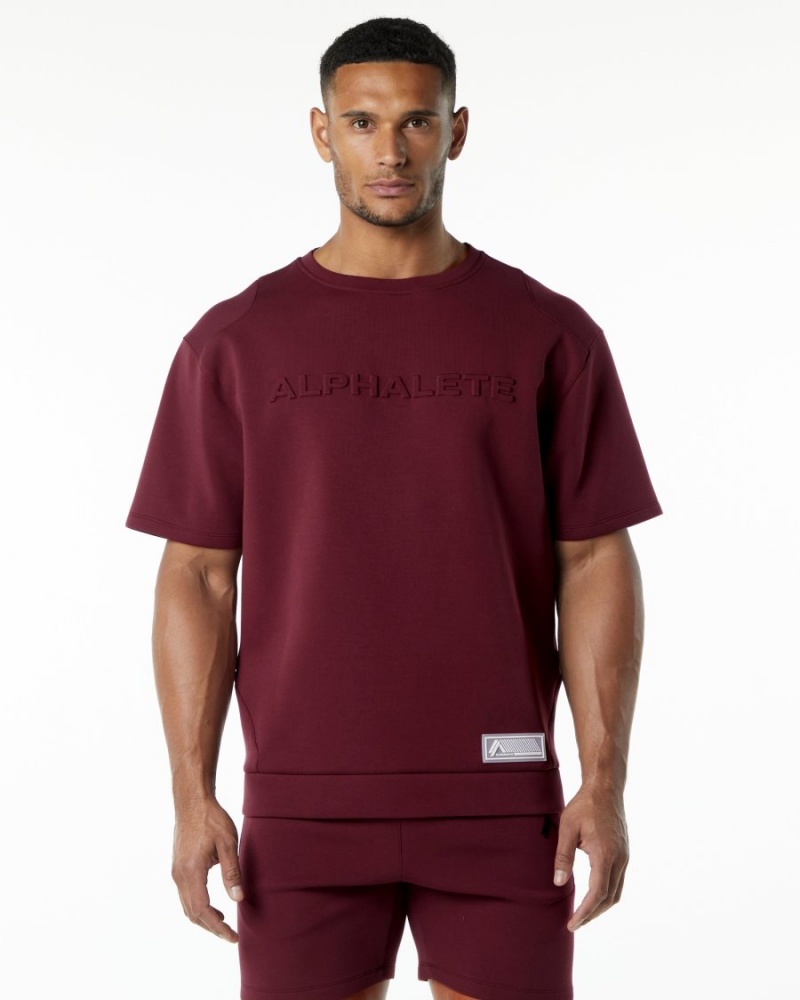 Vestes Alphalete ELMTS Half Sleeve Pullover Bordeaux Homme | DNX-68462694