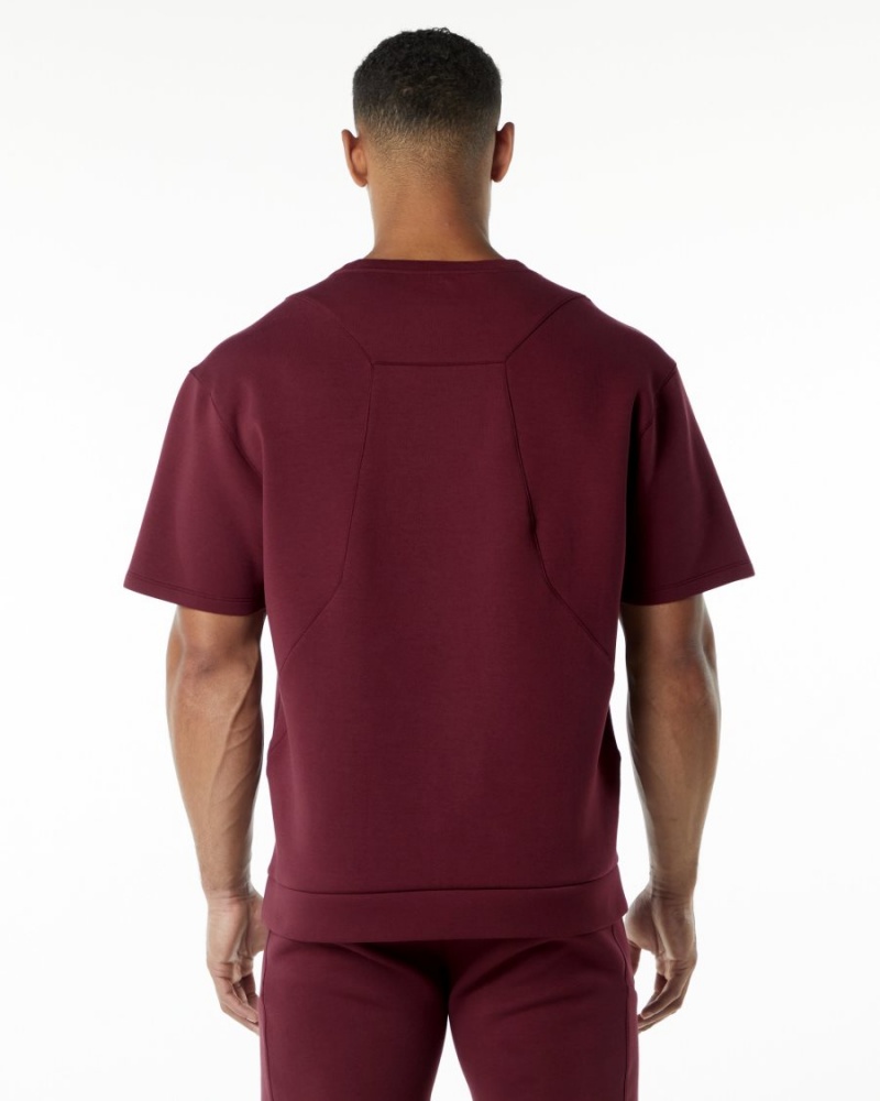 Vestes Alphalete ELMTS Half Sleeve Pullover Bordeaux Homme | DNX-68462694