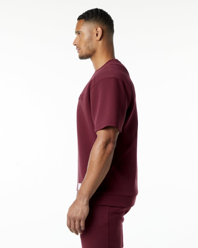 Vestes Alphalete ELMTS Half Sleeve Pullover Bordeaux Homme | DNX-68462694