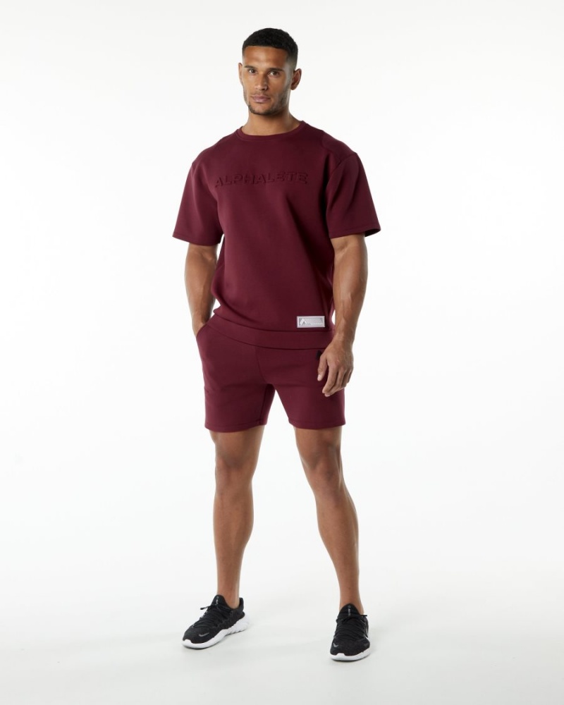 Vestes Alphalete ELMTS Half Sleeve Pullover Bordeaux Homme | DNX-68462694