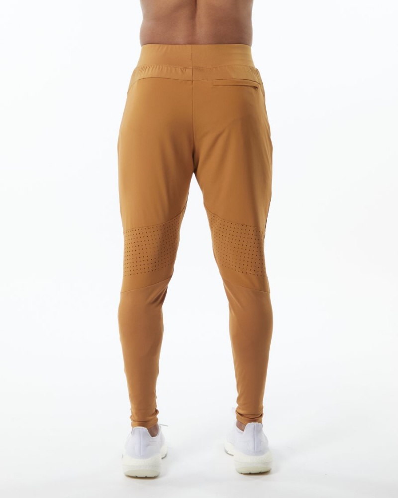 Pantalon Jogging Alphalete Infinity Tech Pant Chestnut Homme | MBP-57168033