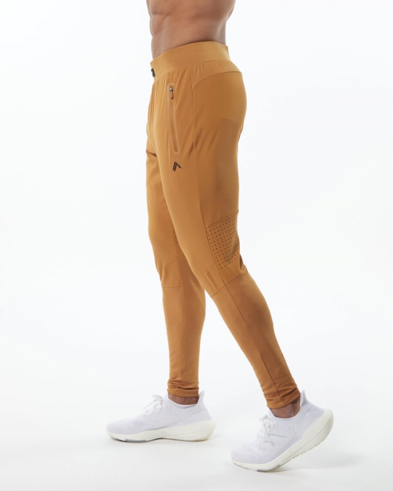 Pantalon Jogging Alphalete Infinity Tech Pant Chestnut Homme | MBP-57168033