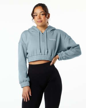 Sweat a Capuche Alphalete Classiche Capital Crop Hoodie Bleu Femme | ODW-72672582