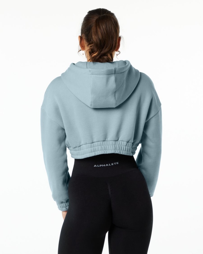 Sweat a Capuche Alphalete Classiche Capital Crop Hoodie Bleu Femme | ODW-72672582