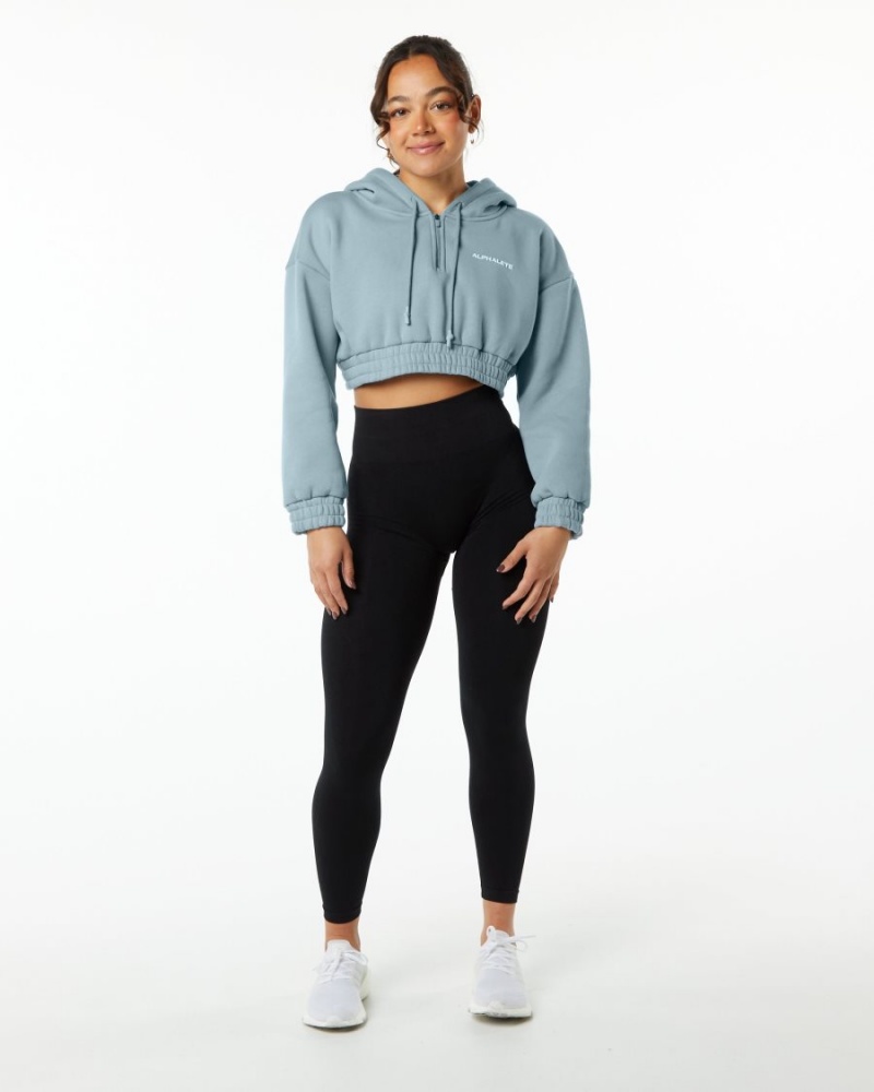 Sweat a Capuche Alphalete Classiche Capital Crop Hoodie Bleu Femme | ODW-72672582