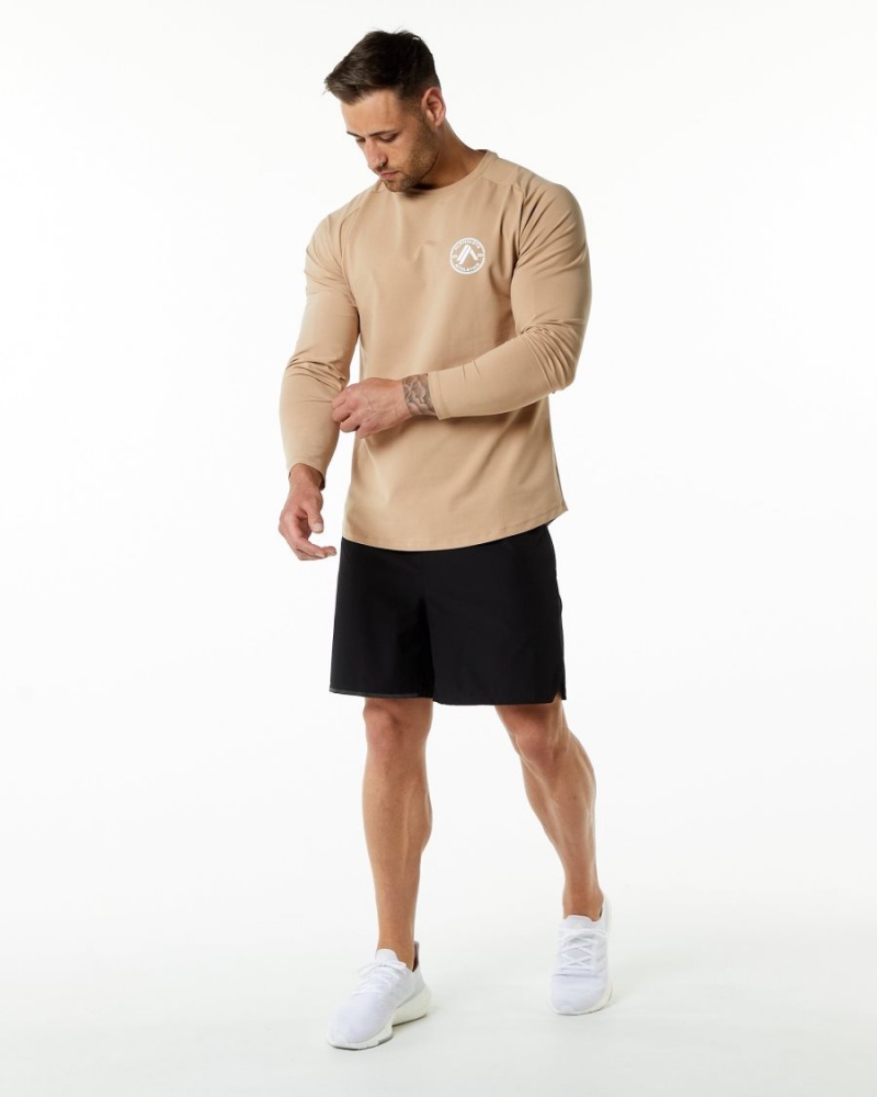 Chemises Alphalete Dynasty LS Tee Taupe Homme | YHA-17744795