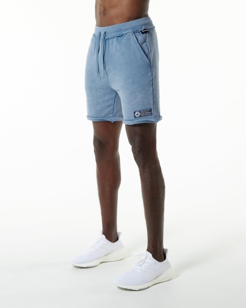 Short Alphalete Very Terry Corta Bleu Homme | HLZ-09241343