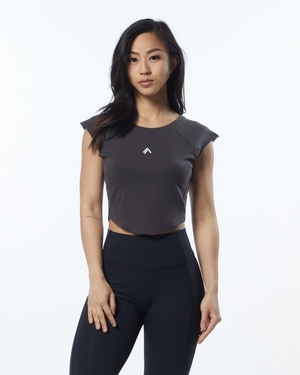 Chemises Alphalete Velocity Crop Tee Grise Femme | FIF-99049616